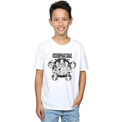 textil Niño Camisetas manga corta Scoobynatural Mono Characters Blanco