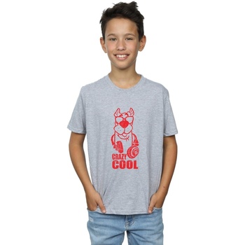 textil Niño Camisetas manga corta Scooby Doo Crazy Cool Gris