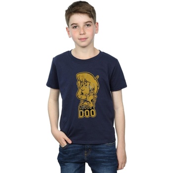 textil Niño Camisetas manga corta Scooby Doo And Shaggy Azul