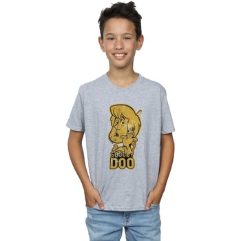 textil Niño Camisetas manga corta Scooby Doo And Shaggy Gris