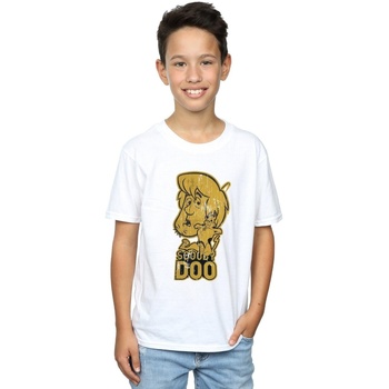 textil Niño Tops y Camisetas Scooby Doo BI33286 Blanco