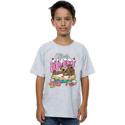 textil Niño Tops y Camisetas Scooby Doo Life Is Sweet Gris