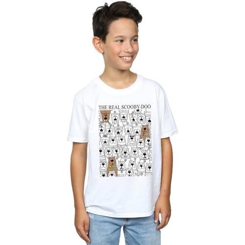 textil Niño Tops y Camisetas Scooby Doo The Real Blanco