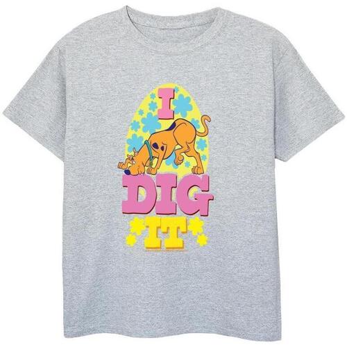 textil Niño Camisetas manga corta Scooby Doo Easter I Dig It Gris