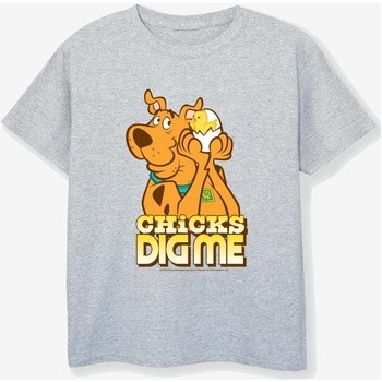 textil Niño Camisetas manga corta Scooby Doo  Gris