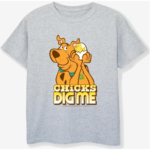 textil Niño Camisetas manga corta Scooby Doo Chicks Dig Me Gris
