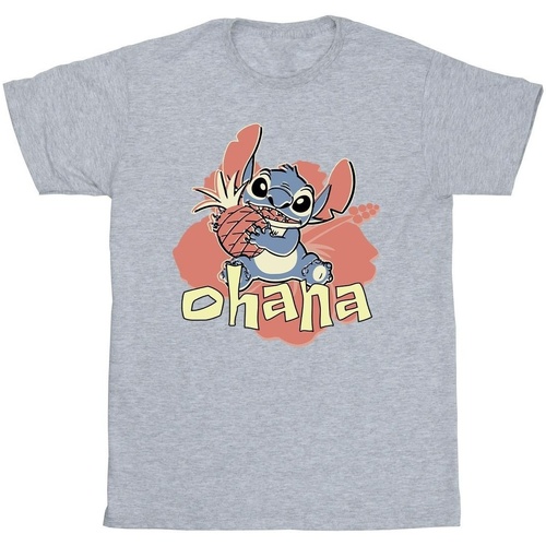 textil Hombre Camisetas manga larga Disney Lilo And Stitch Ohana Pineapple Gris