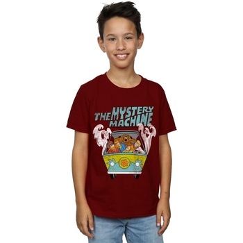 textil Niño Camisetas manga corta Scooby Doo  Multicolor