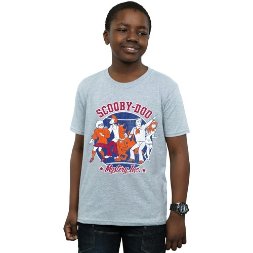 textil Niño Camisetas manga corta Scooby Doo Collegiate Circle Gris