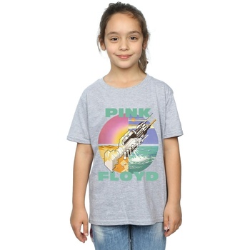 textil Niña Camisetas manga larga Pink Floyd BI33430 Gris