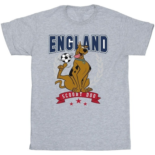 textil Niño Camisetas manga corta Scooby Doo England Football Gris