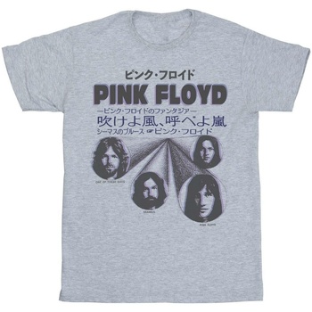 textil Niña Camisetas manga larga Pink Floyd Japanese Cover Gris