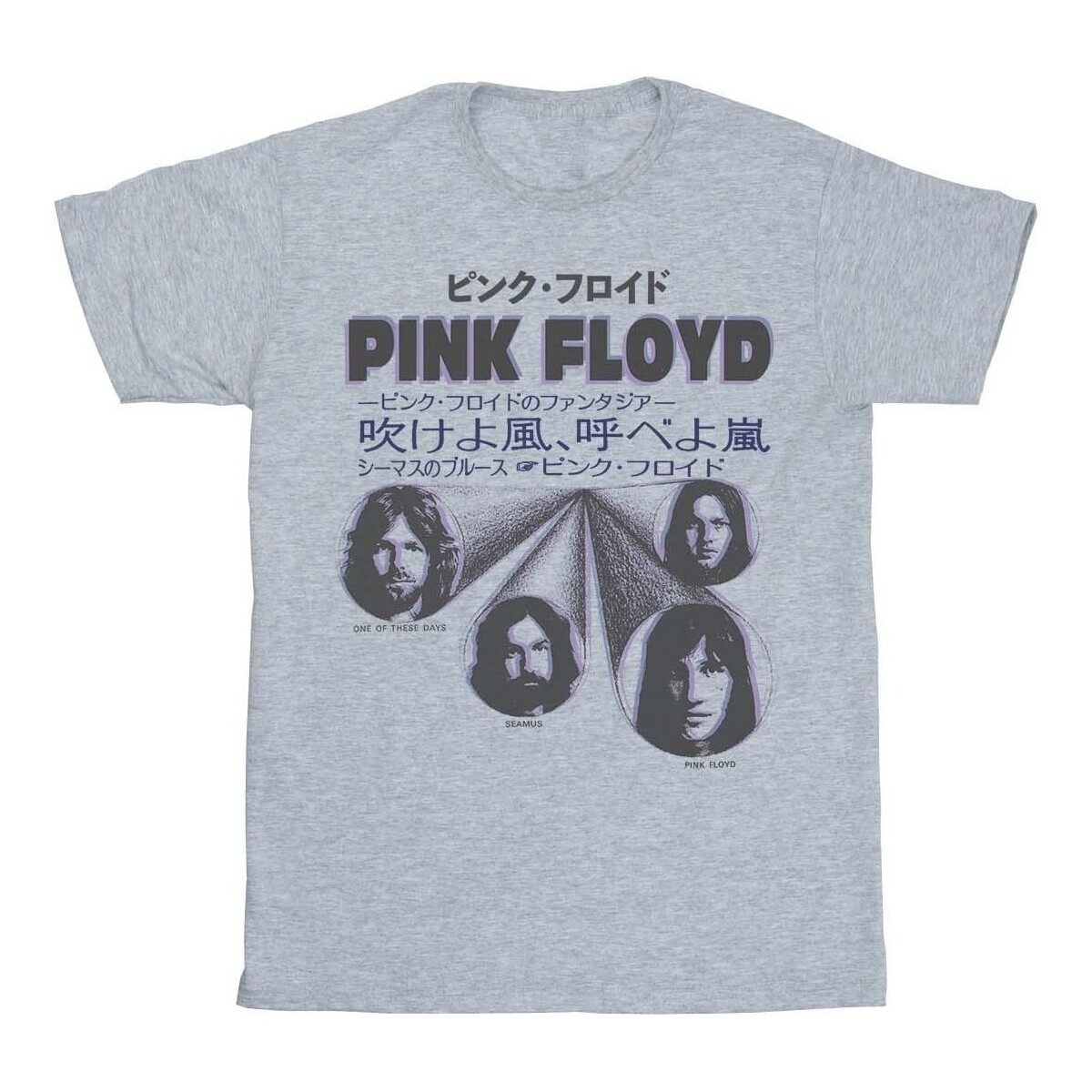 textil Niña Camisetas manga larga Pink Floyd Japanese Cover Gris