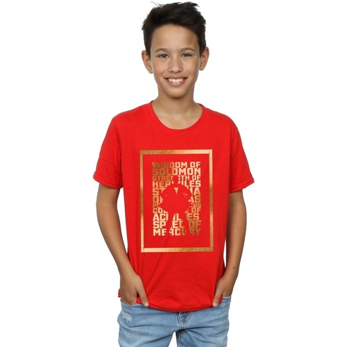 textil Niño Camisetas manga corta Dc Comics Shazam Gold Text Rojo