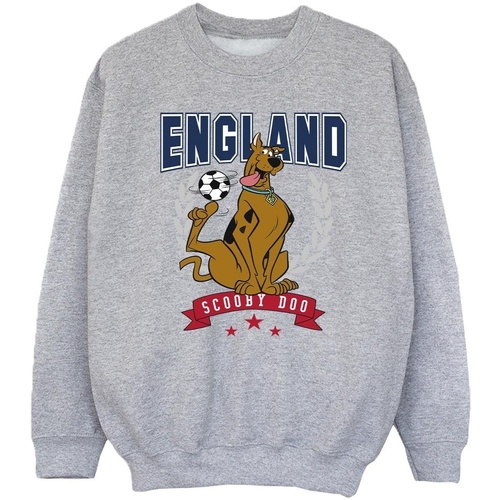textil Niña Sudaderas Scooby Doo England Football Gris