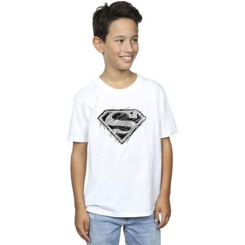 textil Niño Camisetas manga corta Dc Comics Superman Logo Sketch Blanco