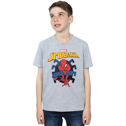 textil Niño Camisetas manga corta Marvel Spider-Man Web Shooting Emblem Logo Gris