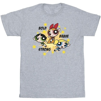 textil Niña Camisetas manga larga The Powerpuff Girls Bold Brave Strong Gris