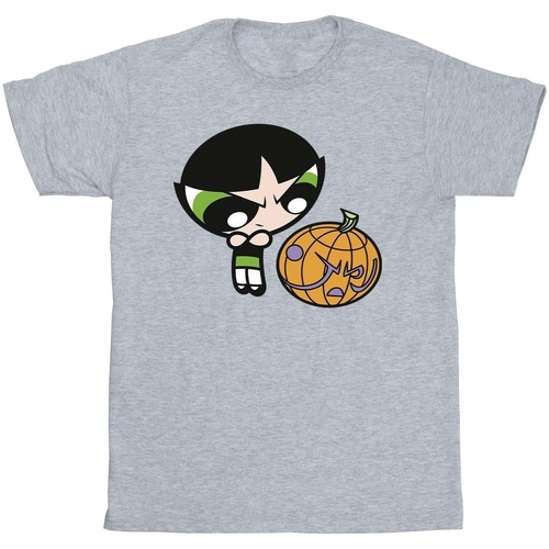 textil Niña Camisetas manga larga The Powerpuff Girls Buttercup Pumpkin Gris