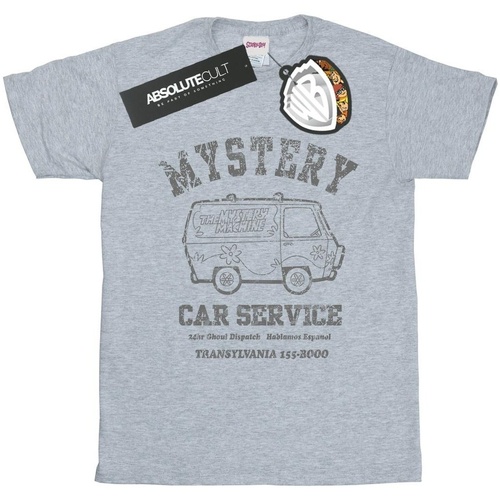 textil Niña Camisetas manga larga Scooby Doo Mystery Car Service Gris