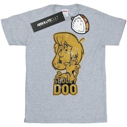 textil Niña Camisetas manga larga Scooby Doo And Shaggy Gris