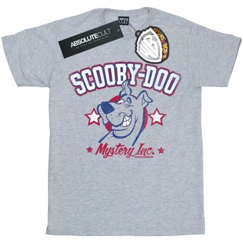 textil Niña Camisetas manga larga Scooby Doo Collegiate Mystery Inc Gris