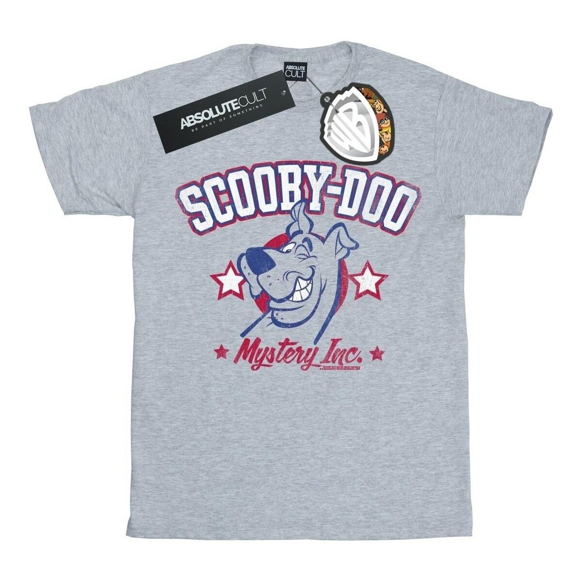 textil Niña Camisetas manga larga Scooby Doo Collegiate Mystery Inc Gris
