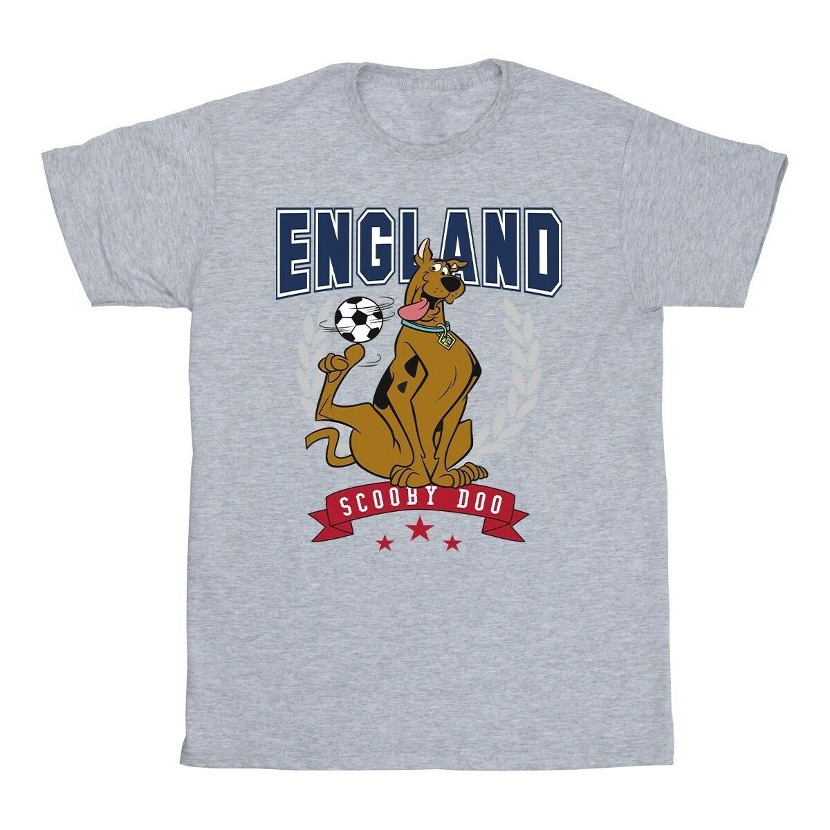 textil Niña Camisetas manga larga Scooby Doo England Football Gris