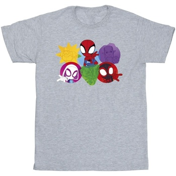 textil Niña Camisetas manga larga Marvel Spidey And His Amazing Friends Faces Gris