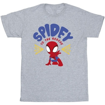 textil Niña Camisetas manga larga Marvel Spidey And His Amazing Friends Rescue Gris