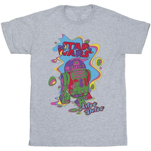 textil Niño Camisetas manga corta Disney R2D2 Pop Art Gris