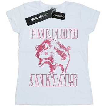 textil Mujer Camisetas manga larga Pink Floyd Animals Algie Blanco