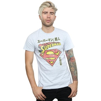 textil Hombre Camisetas manga larga Dc Comics Superman Shield Gris
