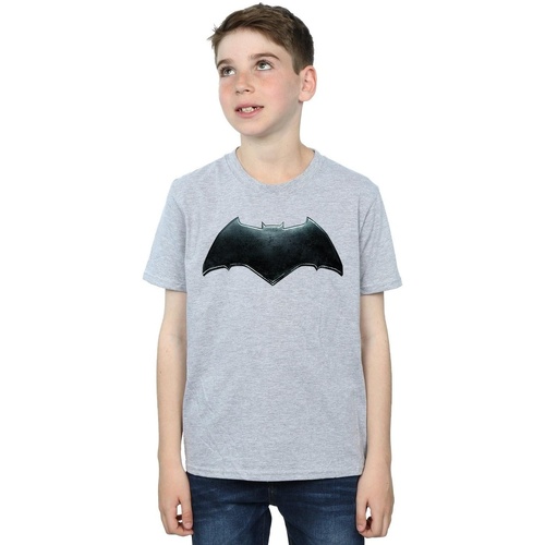 textil Niño Camisetas manga corta Dc Comics Justice League Movie Batman Emblem Gris