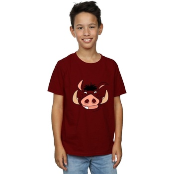 textil Niño Camisetas manga corta Disney Lion King Pumba Face Violeta