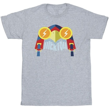 textil Hombre Camisetas manga larga Dc Comics DC League Of Super-Pets Merton Gris