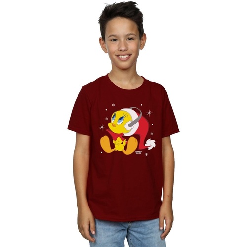 textil Niño Tops y Camisetas Dessins Animés BI23803 Multicolor