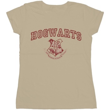 Harry Potter Hogwarts Crest Multicolor