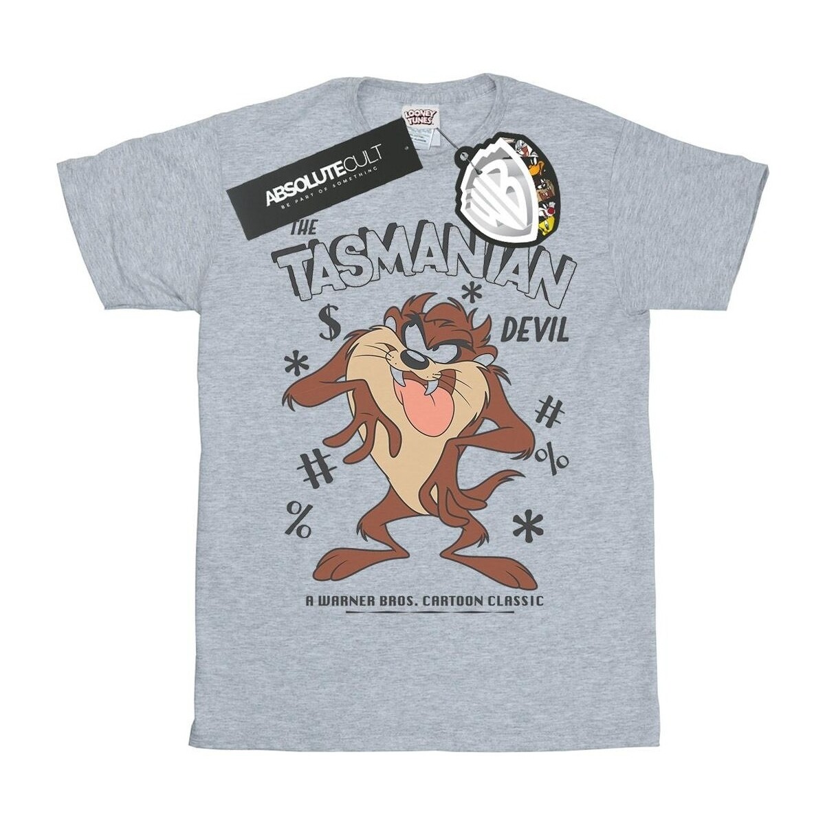 textil Niña Camisetas manga larga Dessins Animés Vintage Tasmanian Devil Gris