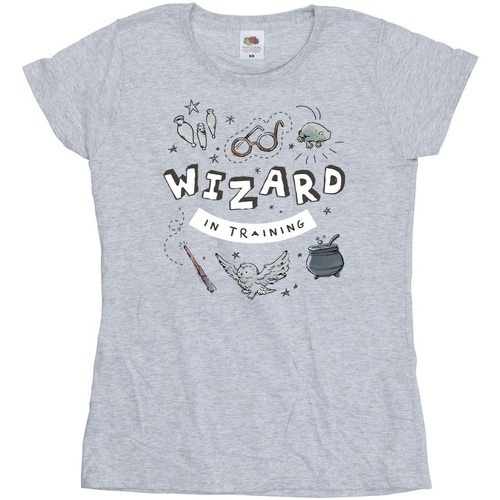 textil Mujer Camisetas manga larga Harry Potter Wizard In Training Gris