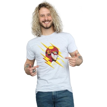 textil Hombre Camisetas manga larga Dc Comics The Flash Lightning Portrait Gris