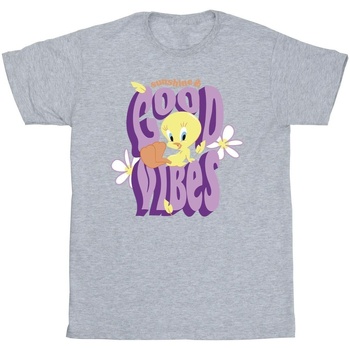 textil Niña Camisetas manga larga Dessins Animés Tweeday Sunshine & Good Vibes Gris