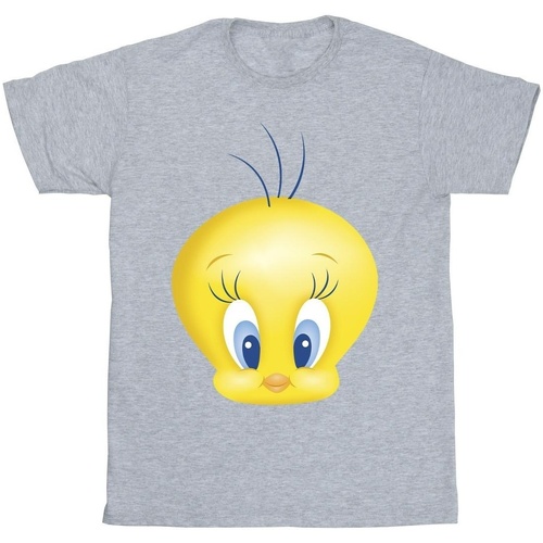 textil Niña Camisetas manga larga Dessins Animés Tweety Face Gris