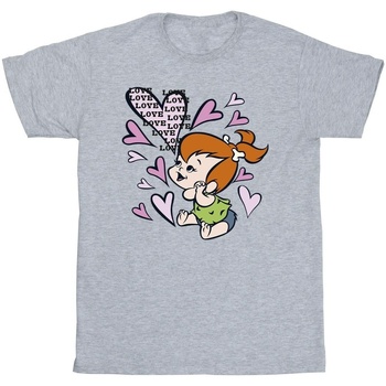 textil Hombre Camisetas manga larga The Flintstones Pebbles Love Love Love Gris