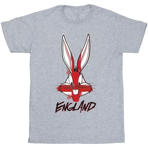 textil Niña Camisetas manga larga Dessins Animés Bugs England Face Gris