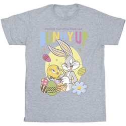 textil Niña Camisetas manga larga Dessins Animés Bunny Up Gris