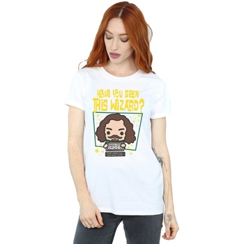 textil Mujer Camisetas manga larga Harry Potter Sirius Black Azkaban Junior Blanco