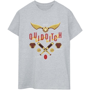 textil Mujer Camisetas manga larga Harry Potter Quidditch Golden Snitch Gris