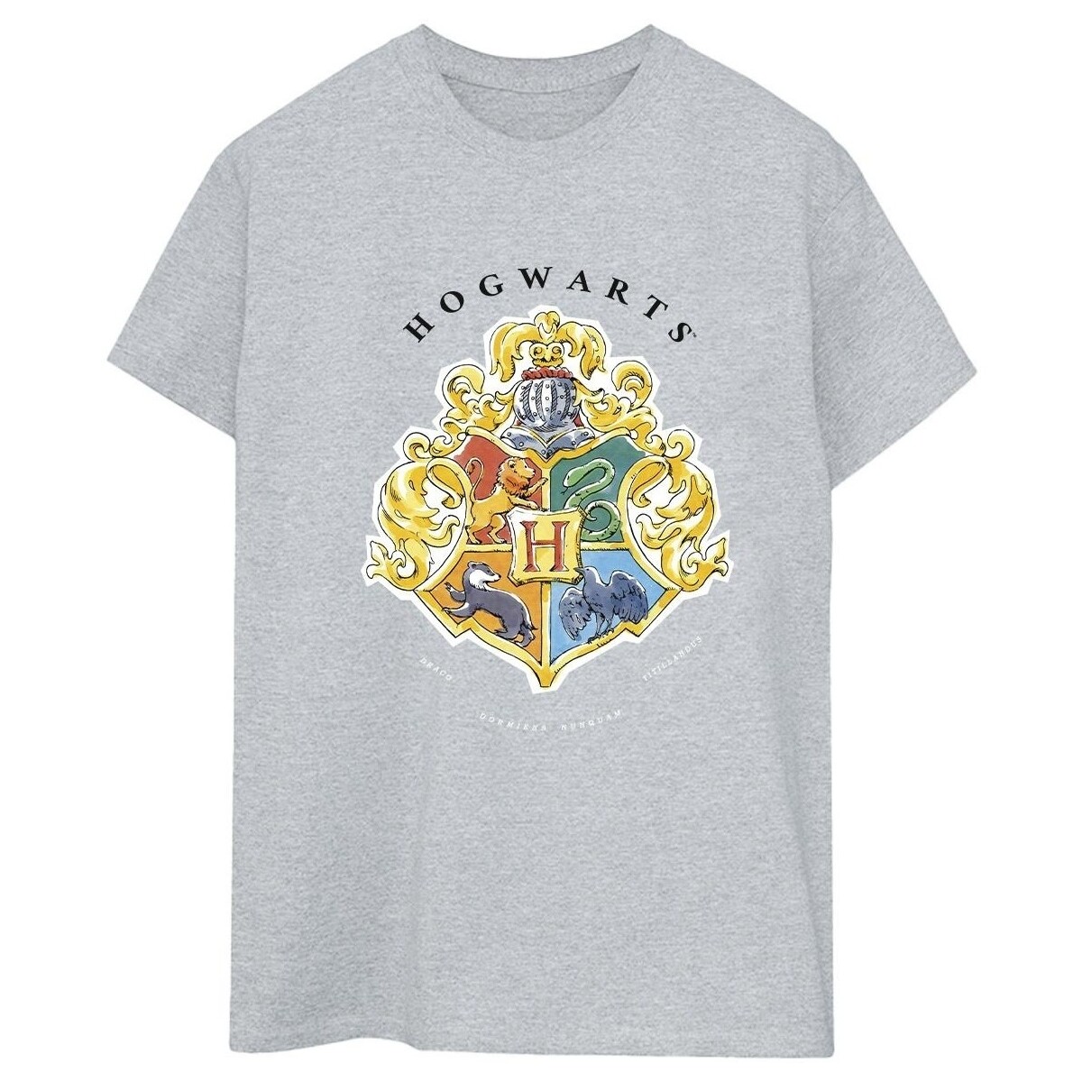 textil Mujer Camisetas manga larga Harry Potter Hogwarts School Emblem Gris