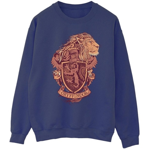 textil Hombre Sudaderas Harry Potter Gryffindor Sketch Crest Azul